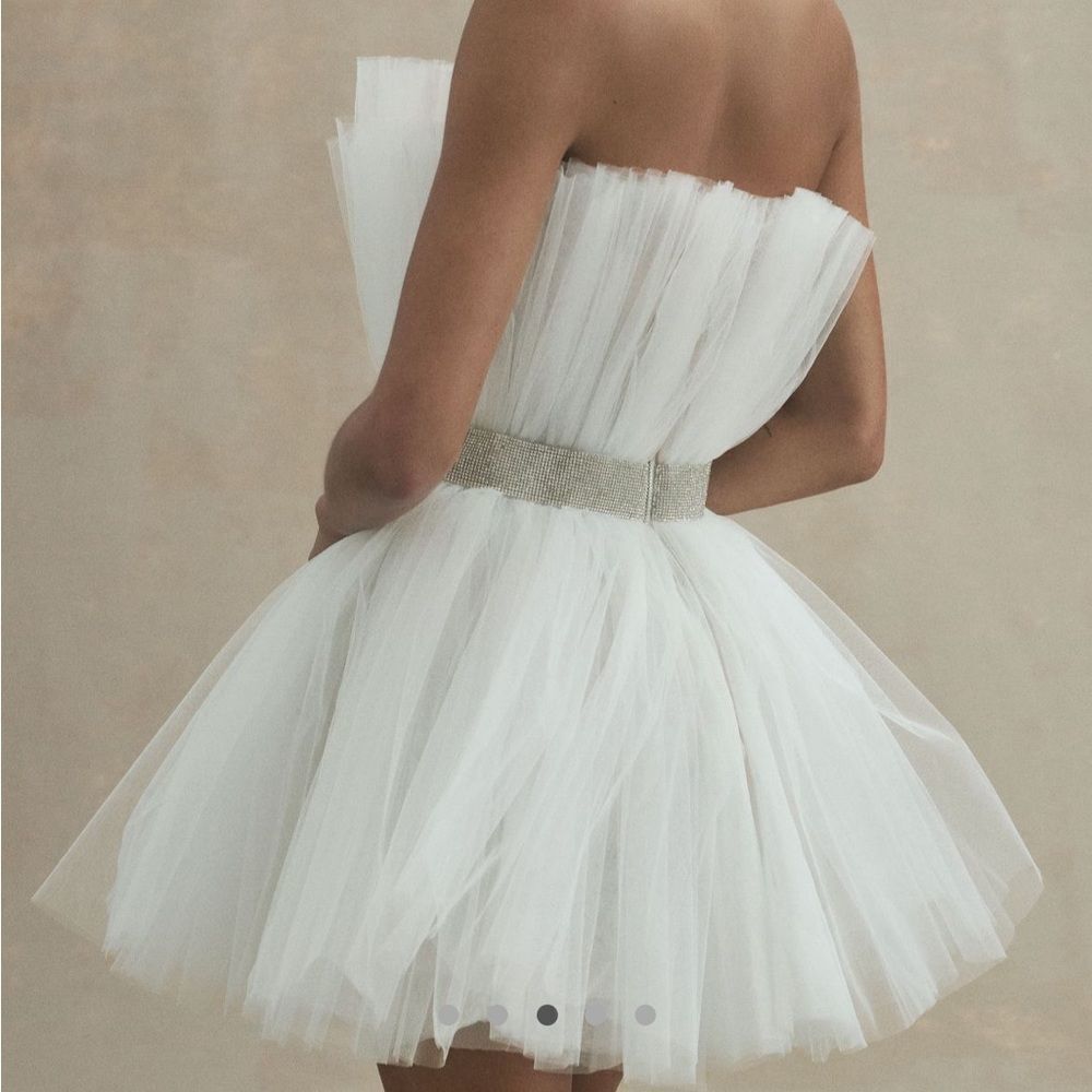 Bronx and Branco Tulle Mini Dress - Picture 3 of 5
